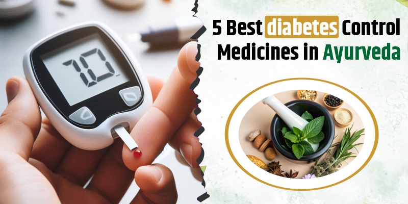 diabetes-control-medicines-in-ayurveda